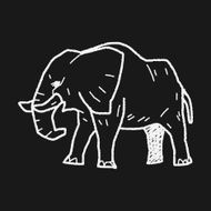 elephant doodle N12