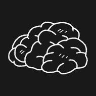 brain doodle N5