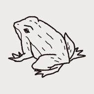 frog doodle N4