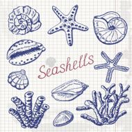 Vector collection of sea shells coral and starfish on paper