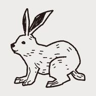 rabbit doodle N17