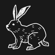 rabbit doodle N20