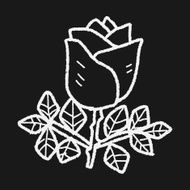 rose flower doodle N16
