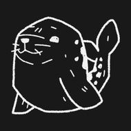 seal doodle N4