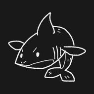 shark doodle N10