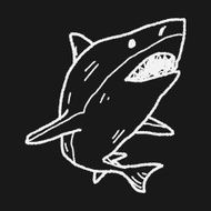 shark doodle N11