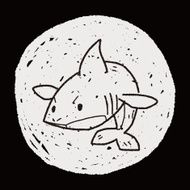 shark doodle N12