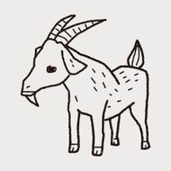 sheep doodle N11