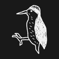 woodpecker doodle N4
