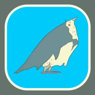 Illustration hand drawn vector retro cartoon bird on flat square N3