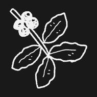 coffee bean fruit doodle N2