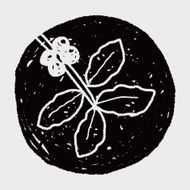 coffee bean fruit doodle N3