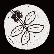 coffee bean fruit doodle N4