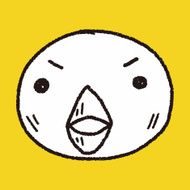 Doodle Bird N16