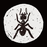 ant doodle N3