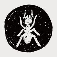 ant doodle N4