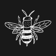 bee doodle N8