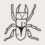 beetle doodle N16