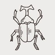 beetle doodle N17