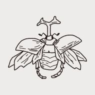 beetle doodle N18