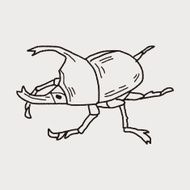 beetle doodle N19