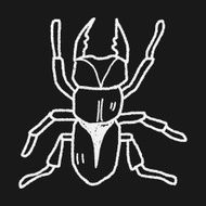 beetle doodle N20