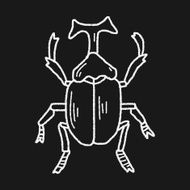 beetle doodle N21