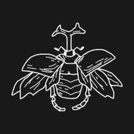 beetle doodle N23