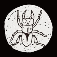 beetle doodle N25