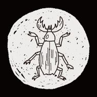 beetle doodle N27