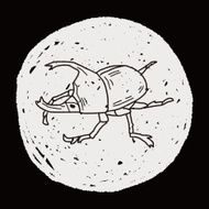 beetle doodle N29