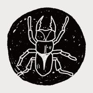 beetle doodle N30