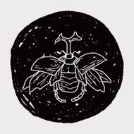 beetle doodle N33