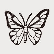 butterfly doodle N7