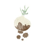 cartoon organic onion