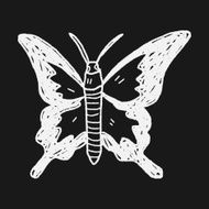 butterfly doodle N10