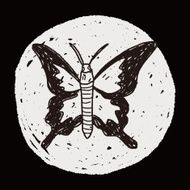 butterfly doodle N12