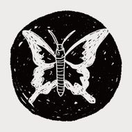 butterfly doodle N14