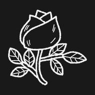 doodle flower rose N3