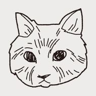 cat doodle drawing N54