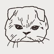 cat doodle drawing N55