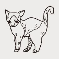 cat doodle drawing N56