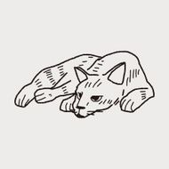 cat doodle drawing N57