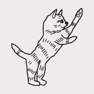 cat doodle drawing N59