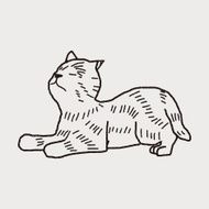 cat doodle drawing N63
