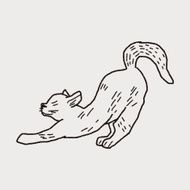 cat doodle drawing N67