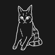 cat doodle drawing N70