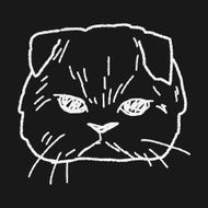 cat doodle drawing N74