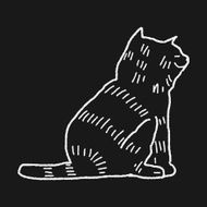cat doodle drawing N80