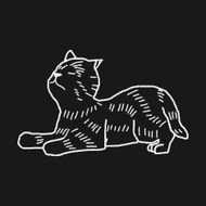 cat doodle drawing N81